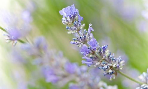 Hand & Stone Massage and Facial Spa - Trinity Common