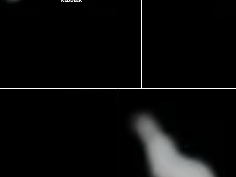 Piccolos Pizza & Pasta - Red Deer Menu