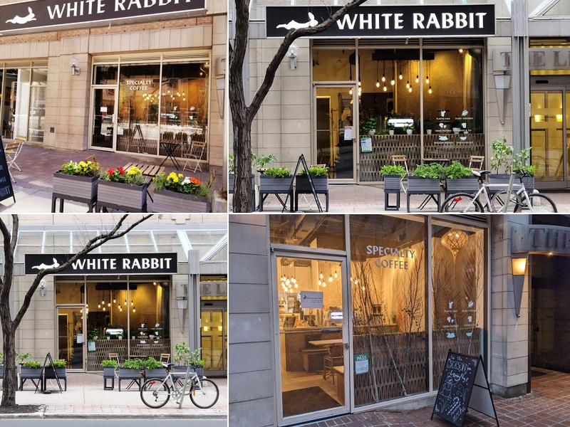 White Rabbit Caffe
