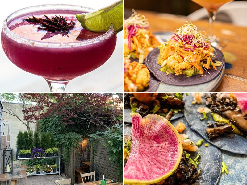 Fonda Lola Mexican Bistro