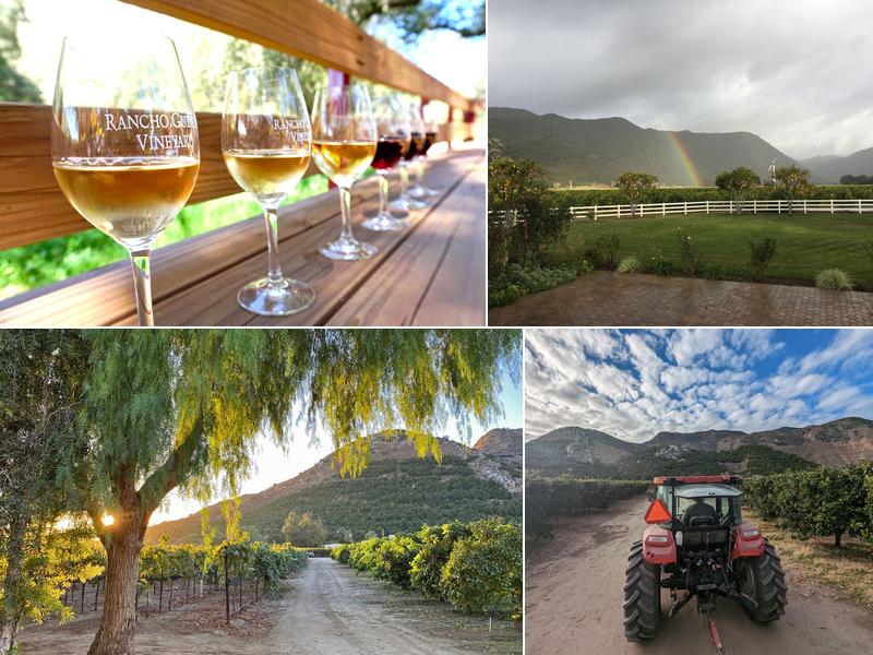 Rancho Guejito Vineyard