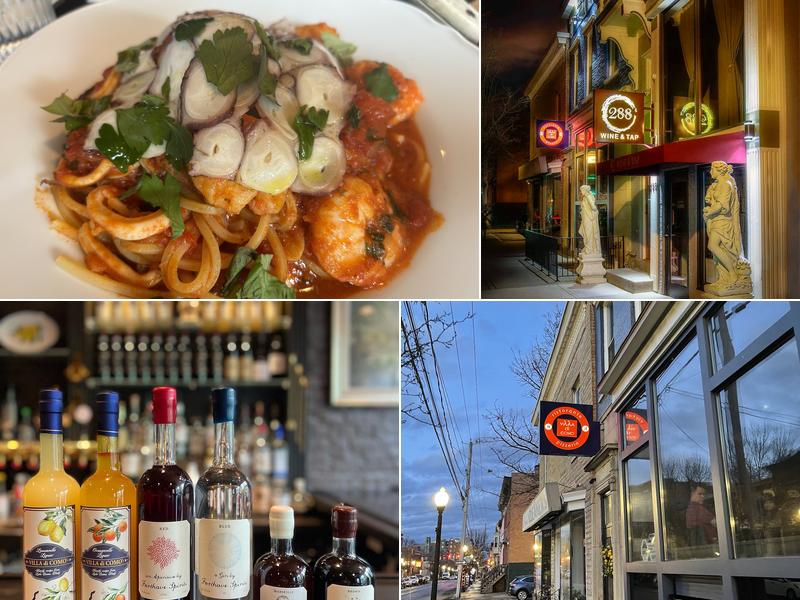 Villa di Como Ristorante 286 Lark St, Albany