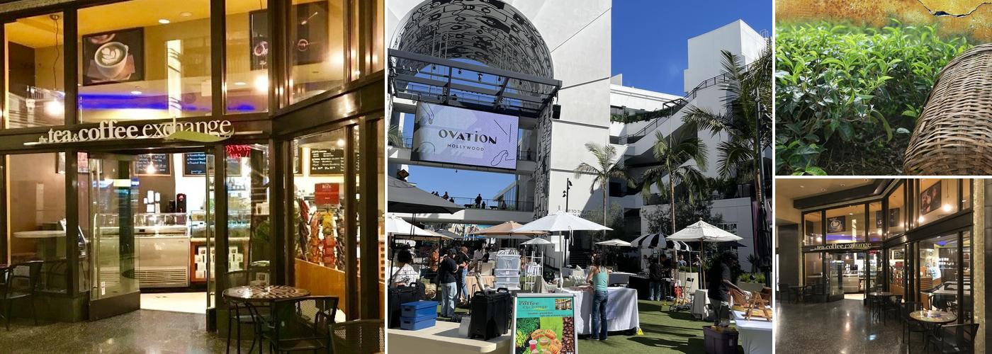 Tea & Coffee Exchange