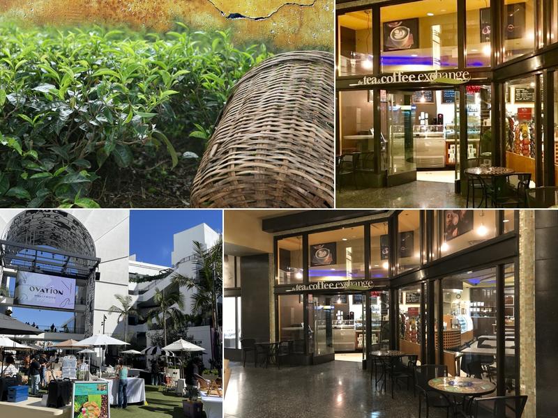 Tea & Coffee Exchange