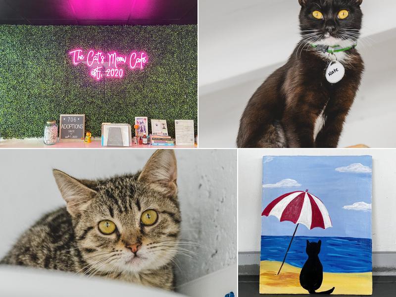 The Cat's Meow Café