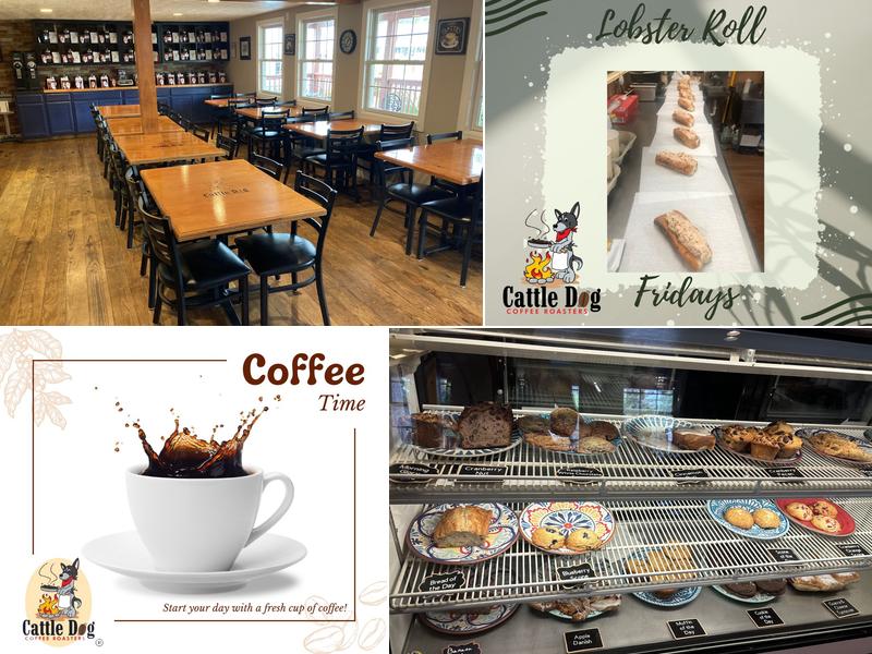 Cattle Dog Coffee Roasters