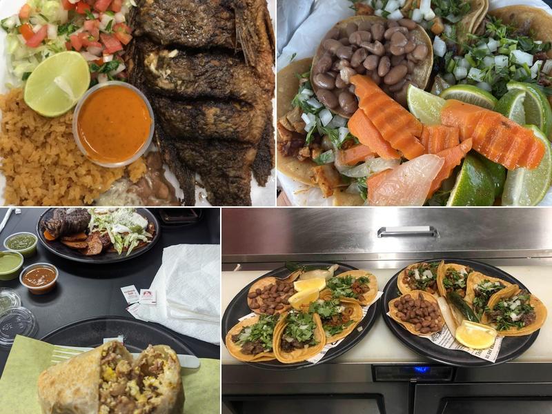 El Pollo y el Pollito en la Granja