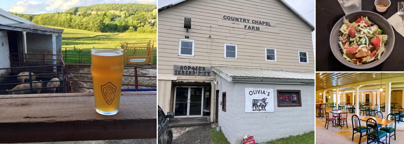 Sophie's Serendipity