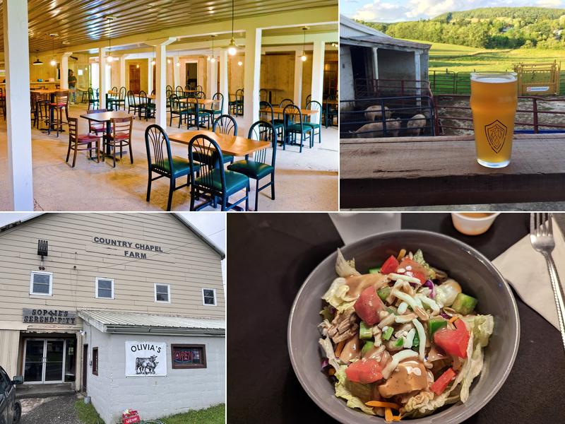 Sophie's Serendipity