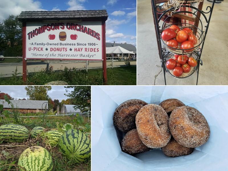 Thompson's Orchards