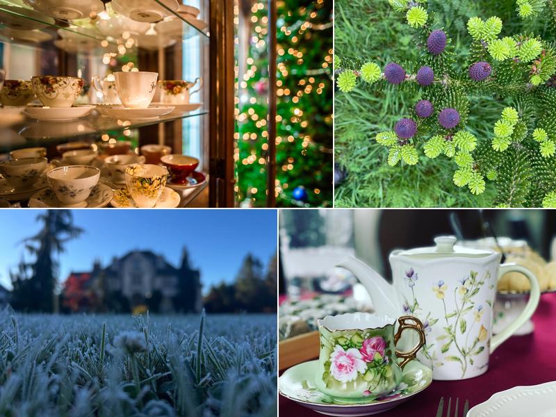 Willowbrook Manor English Tea