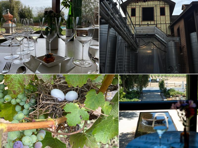 Trefethen Family Vineyards 1160 Oak Knoll Ave, Napa