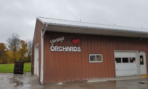 Young's Orchards LLC Rives Junction