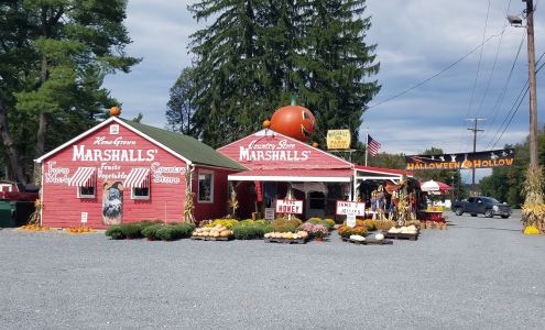 Marshall's Farm Market Delaware