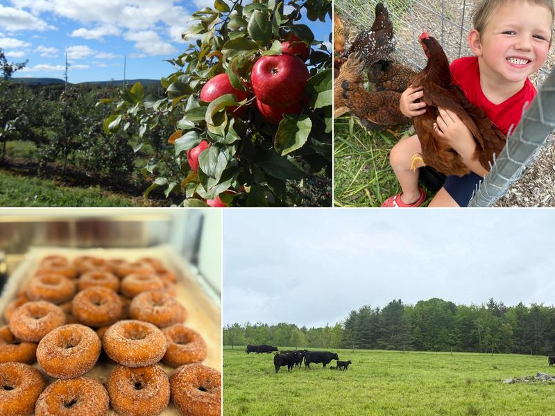 Stanton's Feura Farm