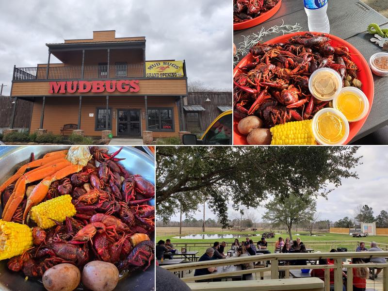 Mudbugs 21522 FM 2100 Suite B, Crosby