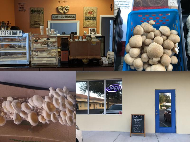 Mr. Fun Guy USA 20020 Veterans Blvd #23, Port Charlotte