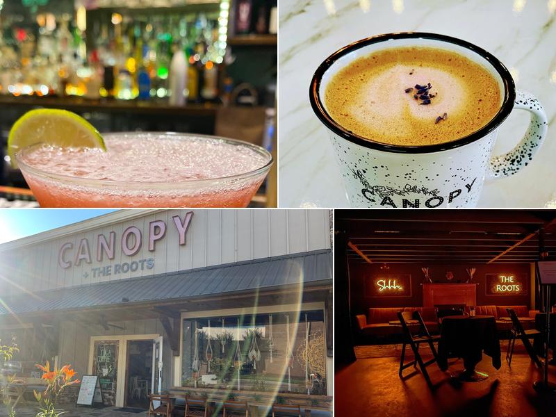 Canopy + the Roots Coffee 53 W Main St, Dahlonega