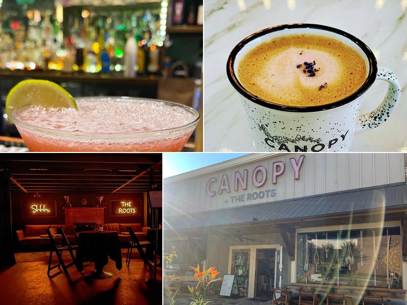 Canopy + the Roots Coffee