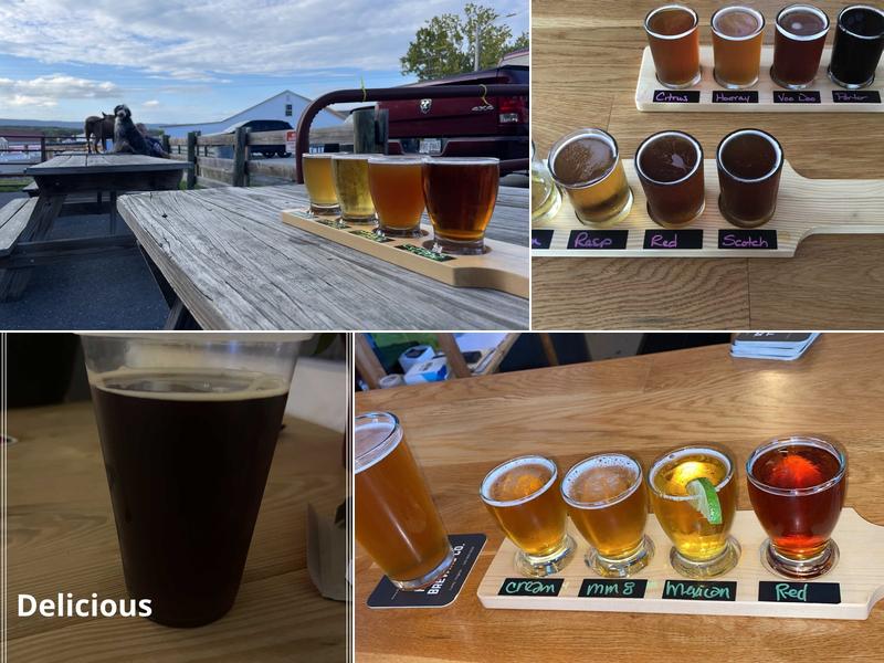 Hawksbill Brewing Company