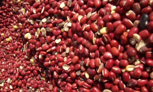 Shagbark Seed & Mill