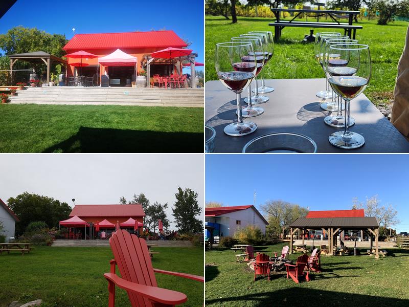 Three Dog Winery 1920 Fish Lake Rd, Picton