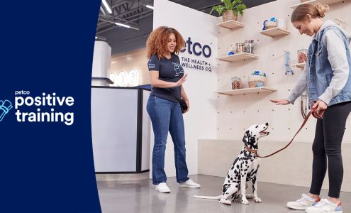 Petco Dog Training