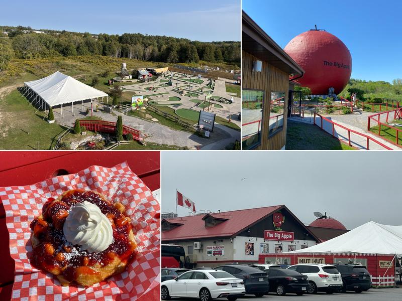 The Big Apple 262 Orchard Rd, Colborne