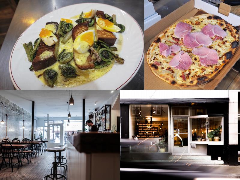 Le Renard et la Chouette