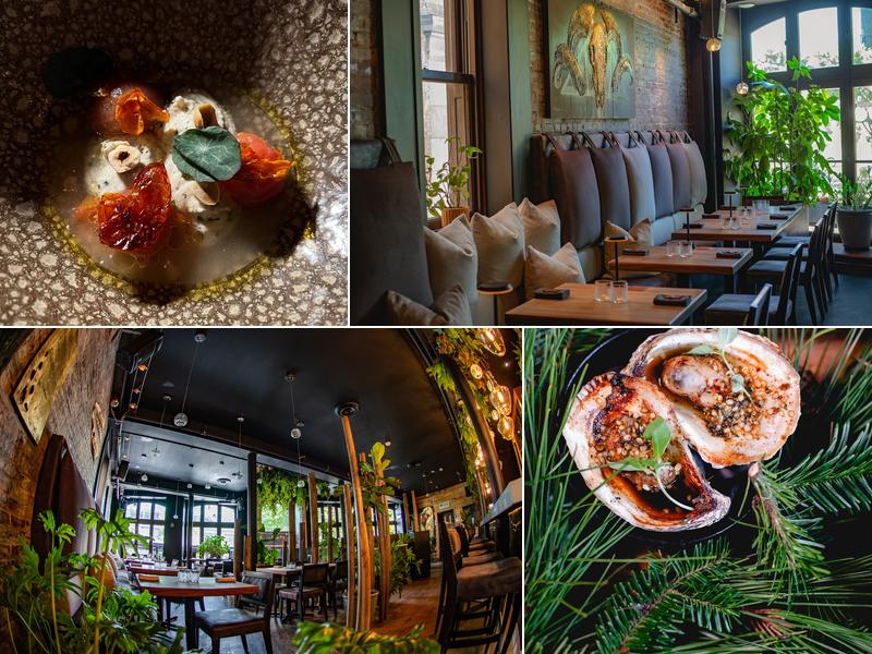 Légende 255 Rue Saint-Paul, Québec