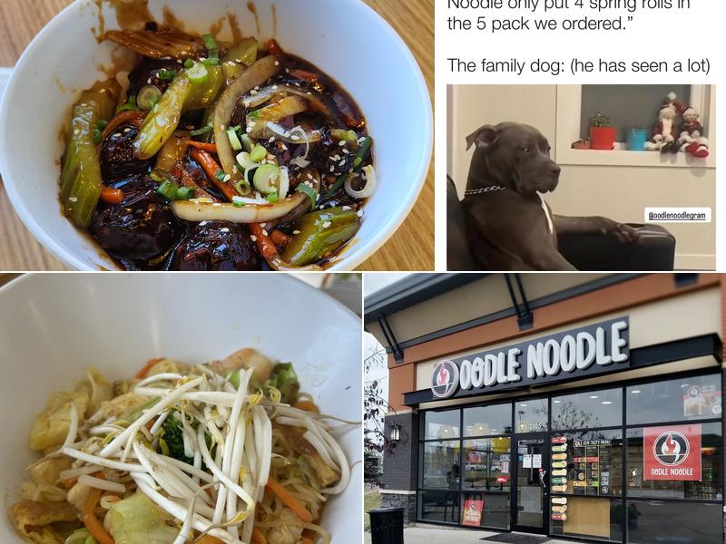 Oodle Noodle