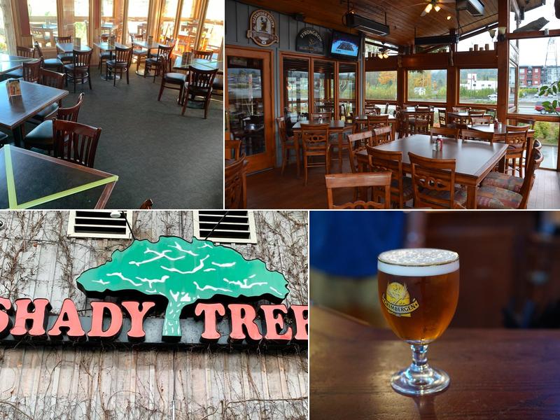 Shady Tree 40456 Government Rd, Garibaldi Highlands