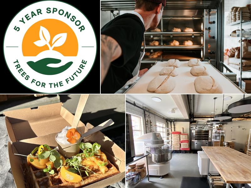 BReD - Organic Sourdough