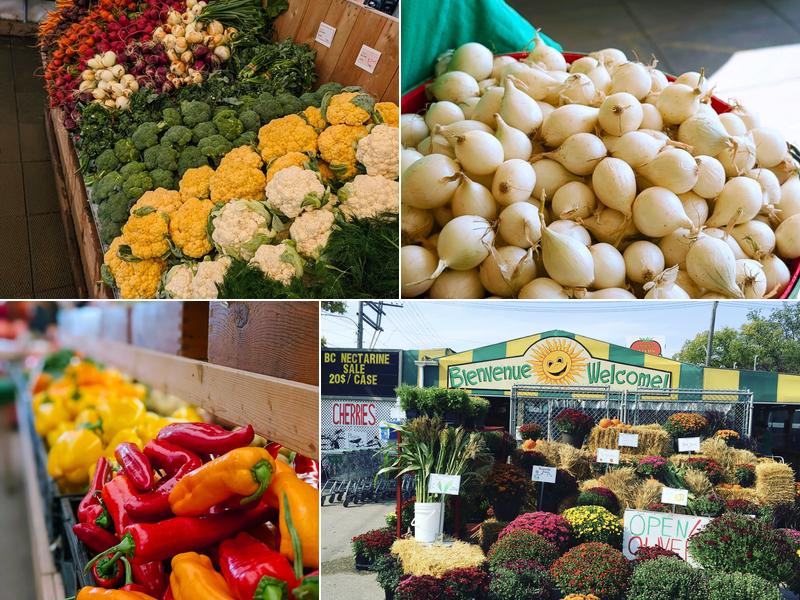 Jardins St-Léon Gardens