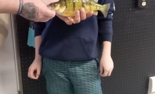 The Bait Box Lake Preston