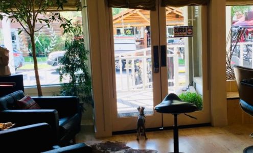 Hair By Maria Tallaferro