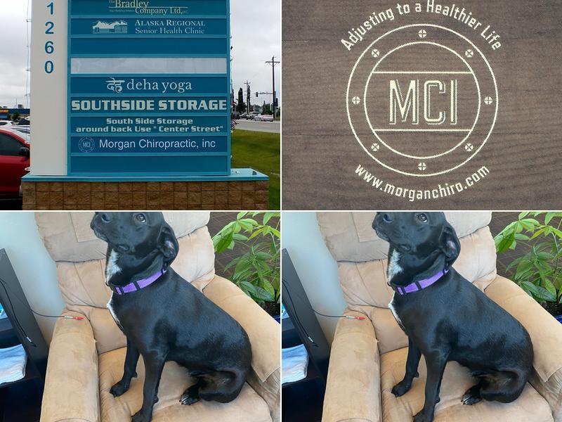 Morgan Chiropractic Inc