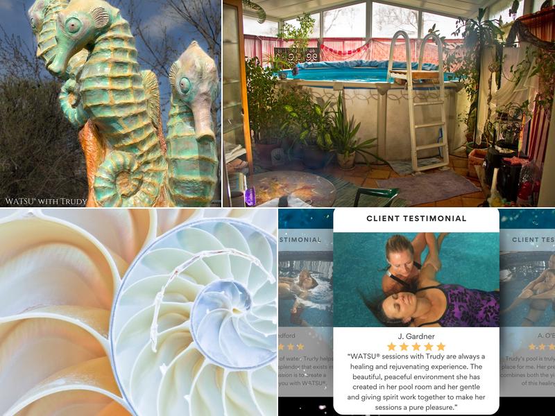 Celestial Seahorse Pool