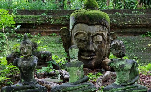 Third Eye Thai 1111 W 39th St, Kansas City Missouri 64111