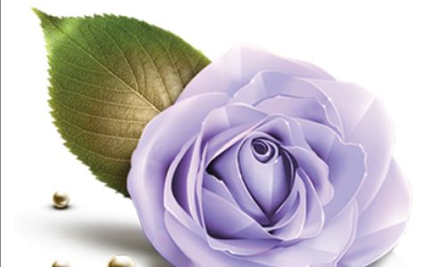 Balsam Rose Massage 11023 Northpointe Blvd Ste. G, Room C, Tomball Texas 77375
