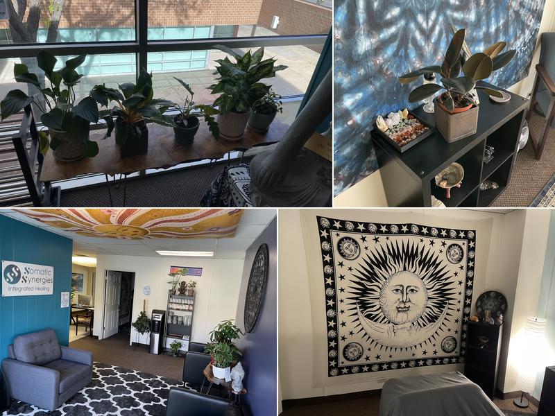 Somatic Synergies Integrated Healing