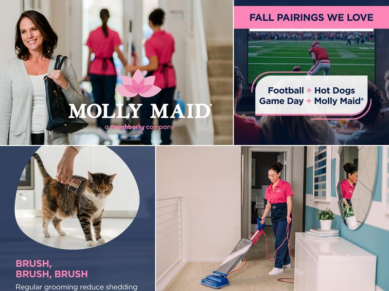 Molly Maid of Denver West