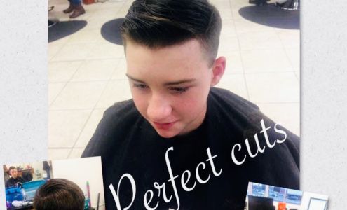 Perfect Cuts