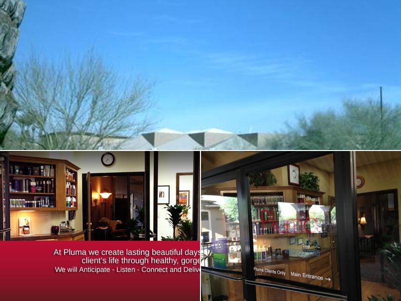 Pluma Designs/Hilda Villaverde