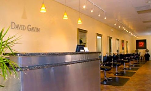 David Gavin Salon