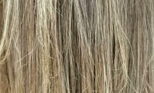 Hair Fashion Salon 375 N Royal Poinciana Blvd, Miami Springs Florida 33166