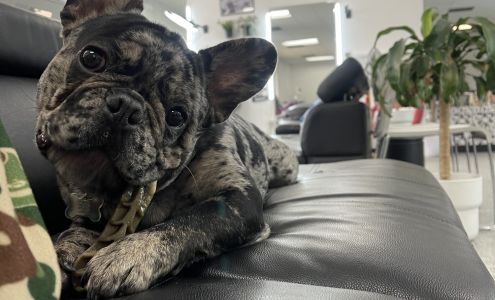 Barbers LLC 4464 W Chinden Blvd A, Garden City Idaho 83714