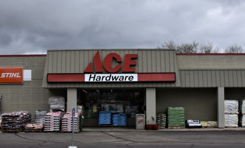 Ace Hardware Delavan