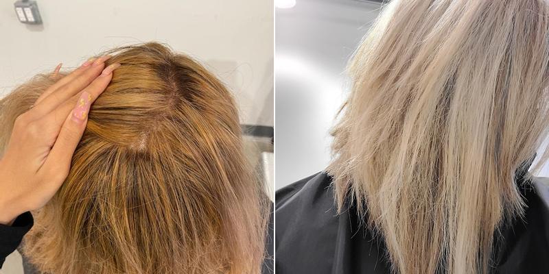 Olme Dominican Specialist