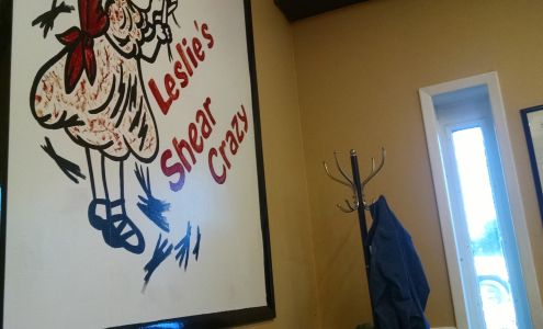 Leslie's Shear Crazy